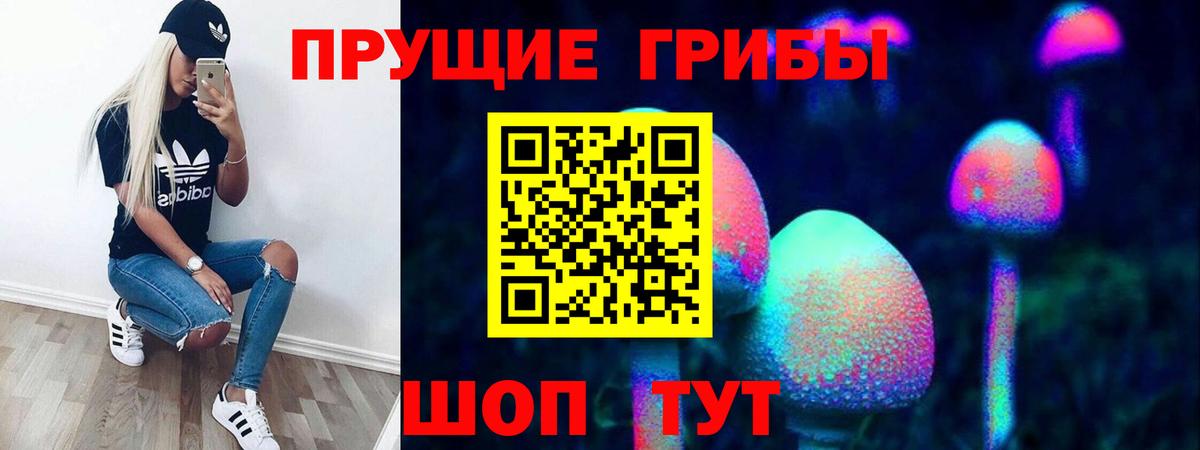 Псилоцибиновые грибы GOLDEN TEACHER  Вход с VPN  цены   Псилоцибиновые грибы Cubensis  Лесозаводск 